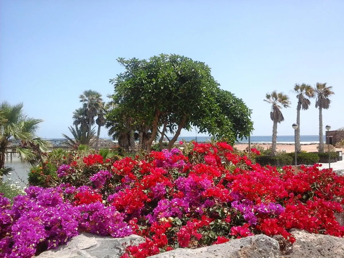 Sol Y Luz Apartment Caleta De Fuste 0*,  Spain